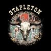 53554636 0 2 - Chris Stapleton Store